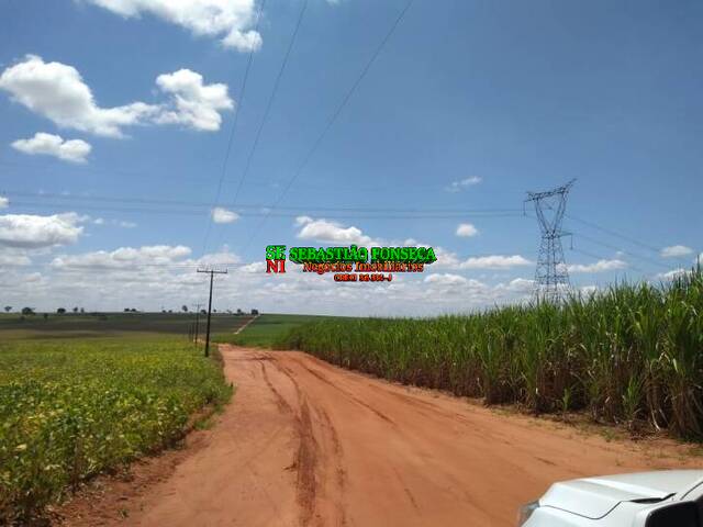 #945 - Fazenda para Venda em Ourinhos - SP - 2