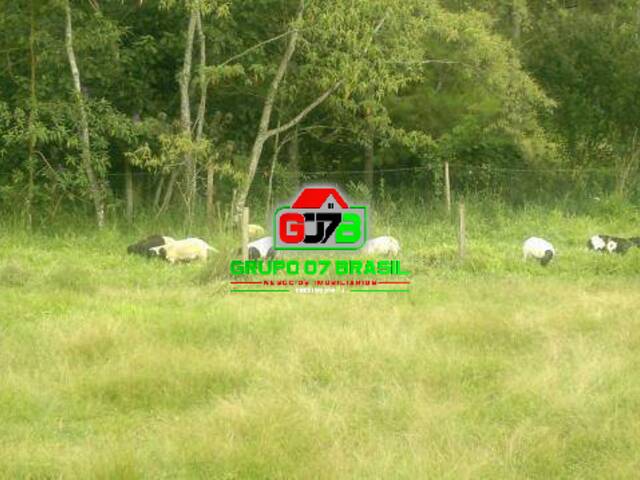 Fazenda para Venda em Monteiro Lobato - 2