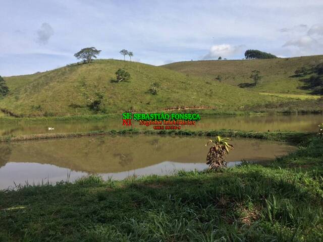#1551 - Fazenda para Venda em Lagoinha - SP