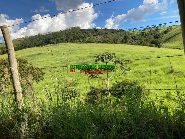 #2515 - Fazenda para Venda em São Luíz do Paraitinga - SP - 3
