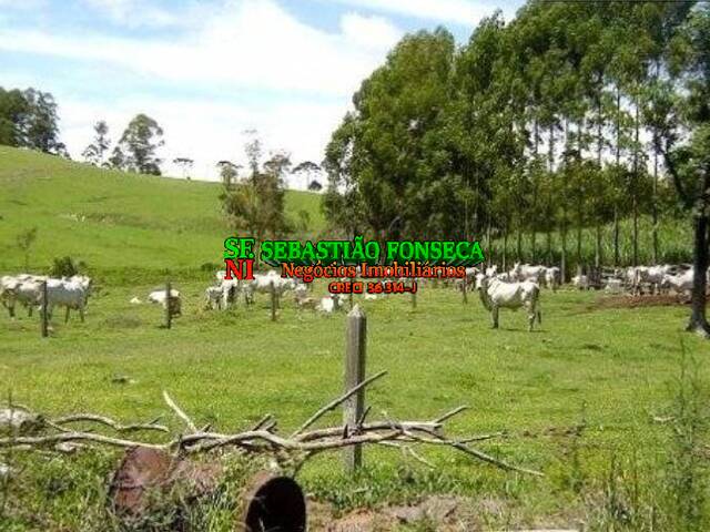 #2695 - Fazenda para Venda em Guaratinguetá - SP - 1