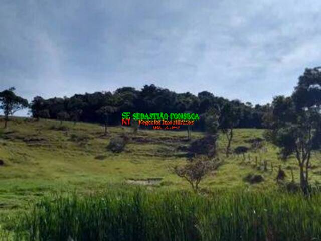 #2851 - Fazenda para Venda em Lagoinha - SP - 1