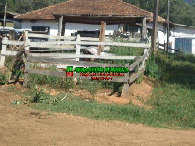 #273 - Fazenda para Venda em Pouso Alegre - MG - 3