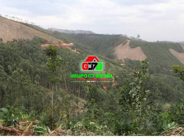 Fazenda para Venda em Areias - 2