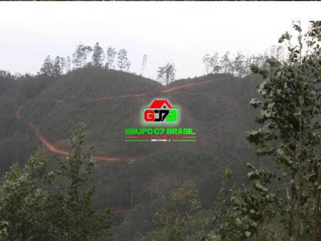 Fazenda para Venda em Areias - 3