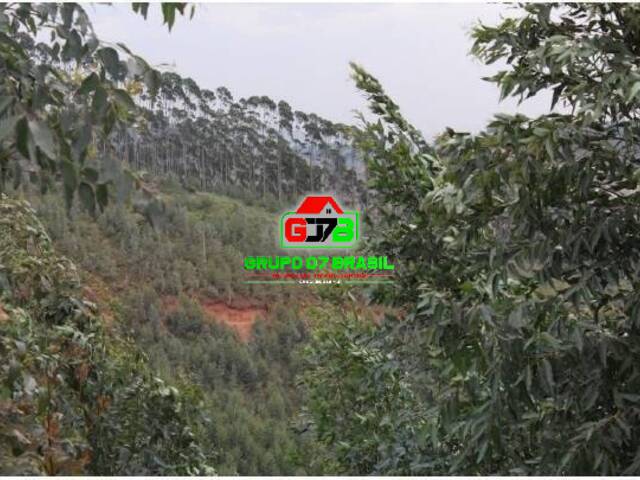 Fazenda para Venda em Areias - 4