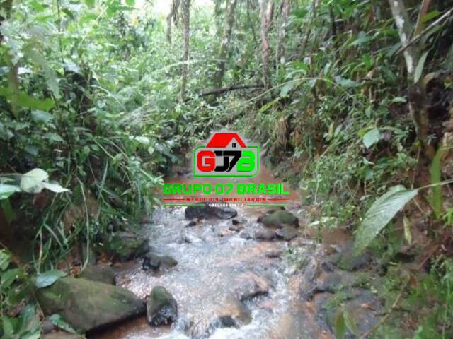 Sítio para Venda em Monteiro Lobato - 4