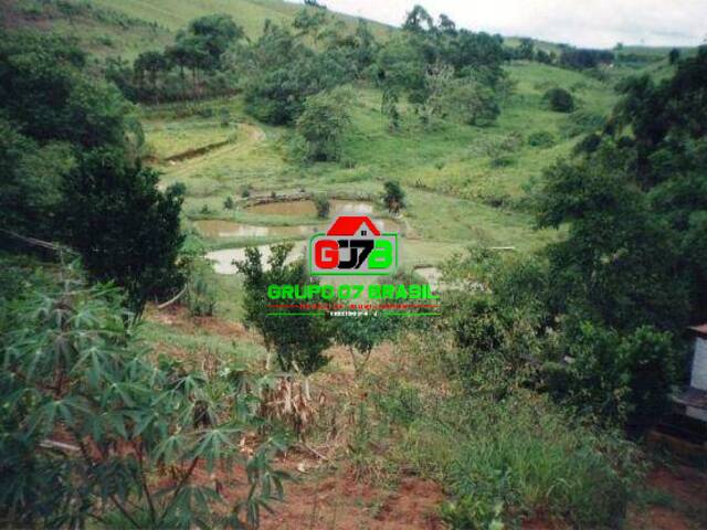 Chácara para Venda em Paraibuna - 4