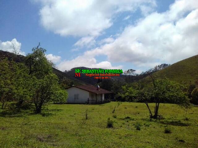 #714 - Fazenda para Venda em Cunha - SP - 3